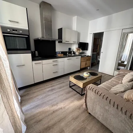 Apartment Cocon Boheme Croisette-palais-plages 200m Cannes
